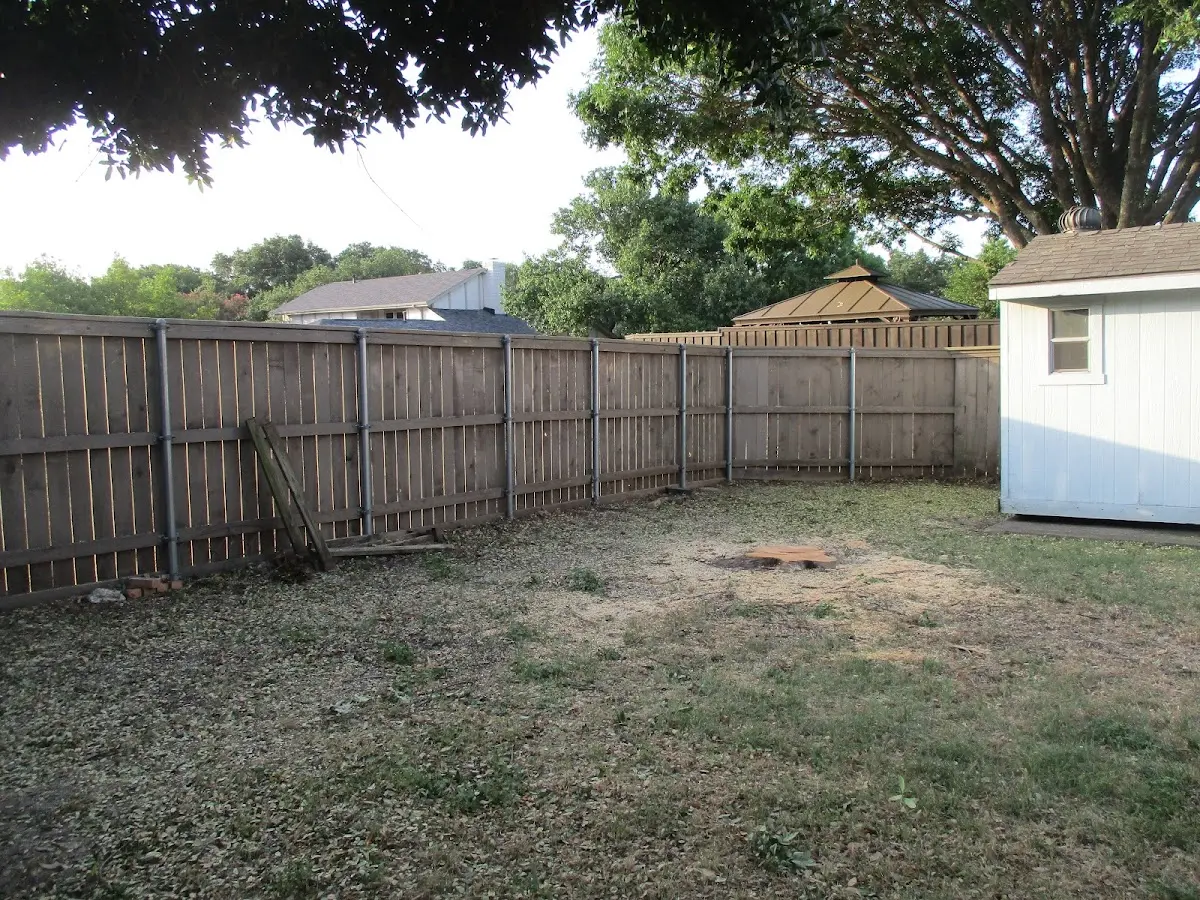 Cleared yard after professional tree removal in Freeland